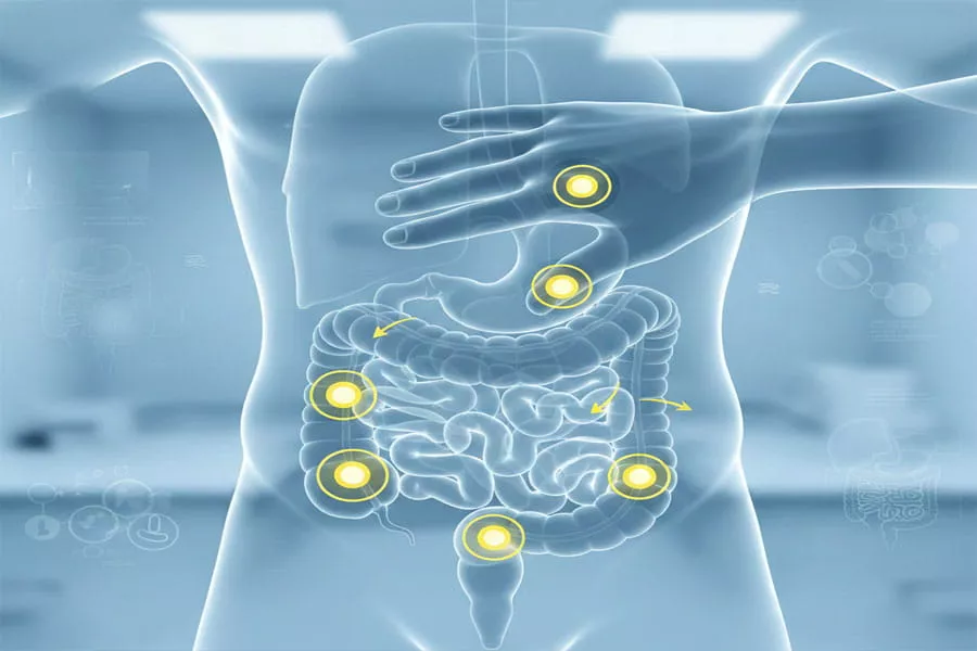 Pressure Points for Bowel Movement Improve Digestion